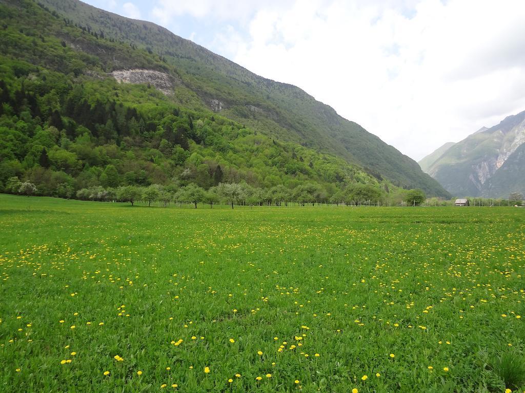 Apartment Mt Bovec Room photo